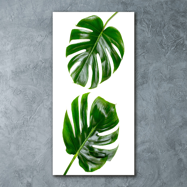Bild auf Acrylglas vertikal Monstera