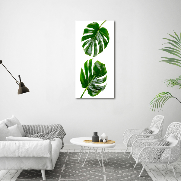 Bild auf Acrylglas vertikal Monstera
