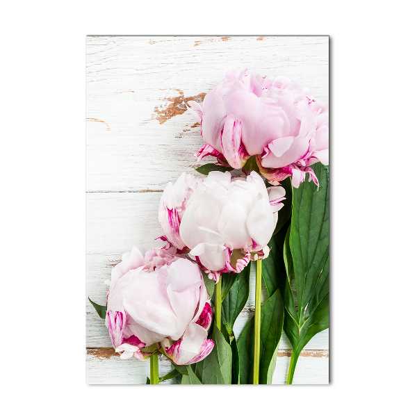 Bild auf Acrylglas vertikal Pfingstrose