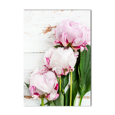 Bild auf Acrylglas vertikal Pfingstrose