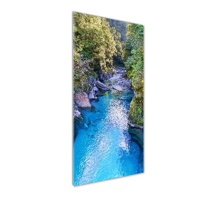 Bild auf Acrylglas vertikal Fluss im Wald