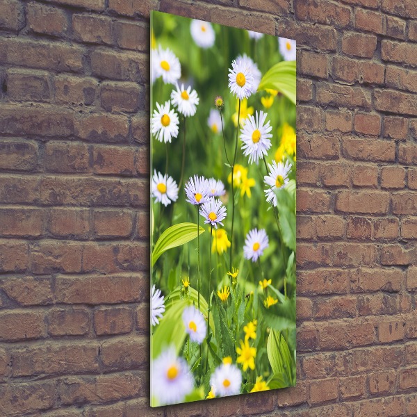 Bild auf Acrylglas vertikal Gänseblümchen