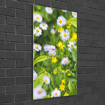 Bild auf Acrylglas vertikal Gänseblümchen