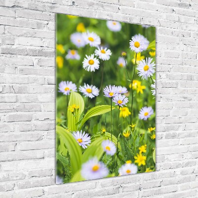 Bild auf Acrylglas vertikal Gänseblümchen