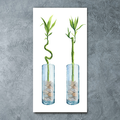 Plexiglasbilder vertikal Bambus im Topf
