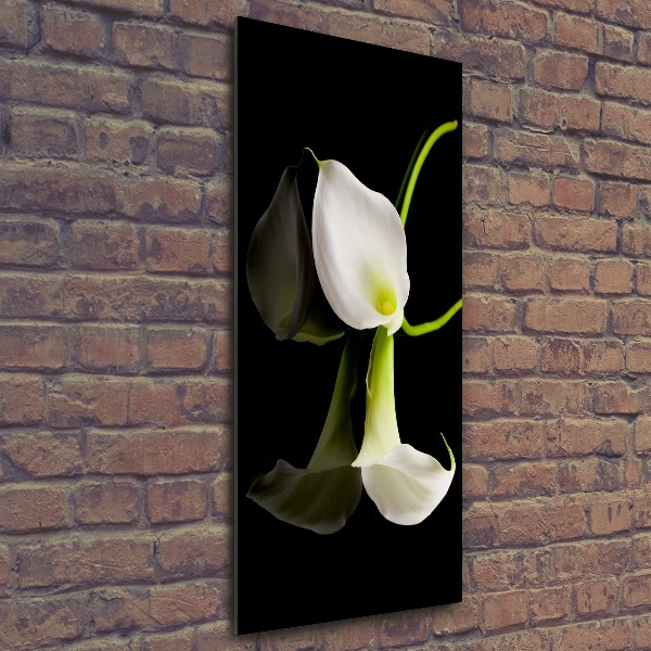 Modernes Acrylbild vertikal Weiße Calla
