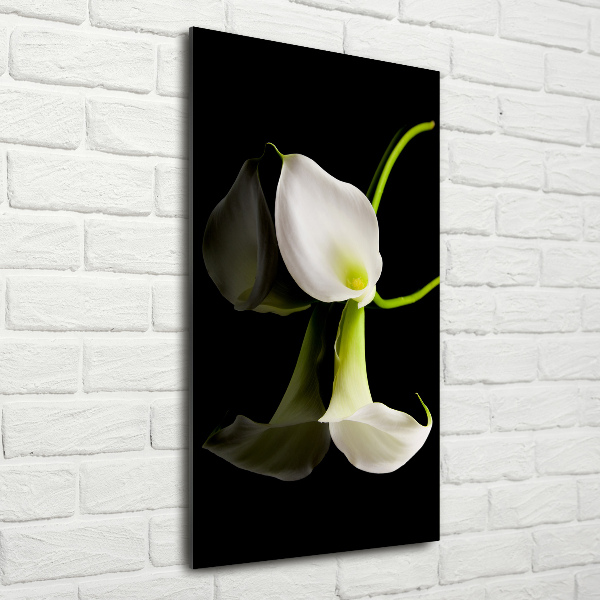 Modernes Acrylbild vertikal Weiße Calla
