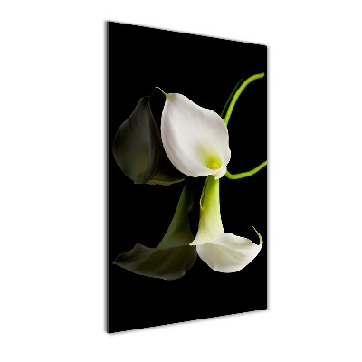 Modernes Acrylbild vertikal Weiße Calla