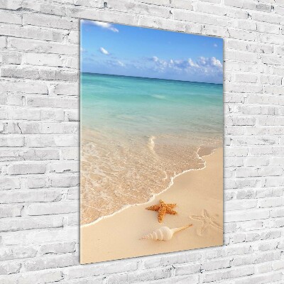 Acrylbild vertikal Seesterne am Strand