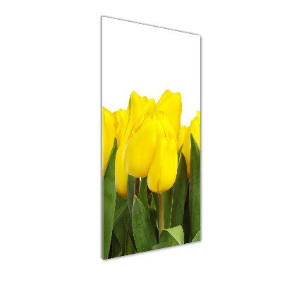 Bild auf Acrylglas vertikal Gelbe Tulpen