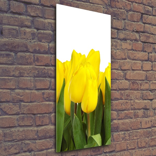 Bild auf Acrylglas vertikal Gelbe Tulpen