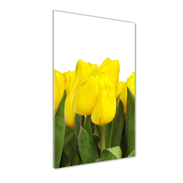 Bild auf Acrylglas vertikal Gelbe Tulpen