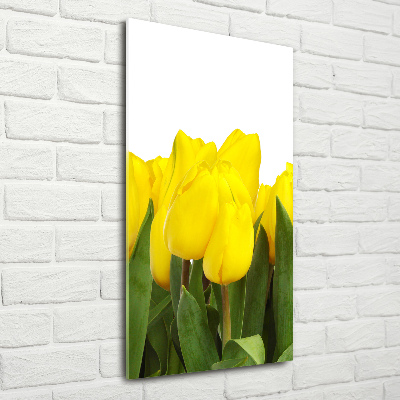 Bild auf Acrylglas vertikal Gelbe Tulpen