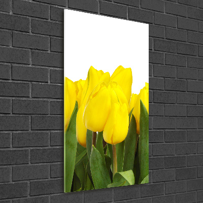 Bild auf Acrylglas vertikal Gelbe Tulpen