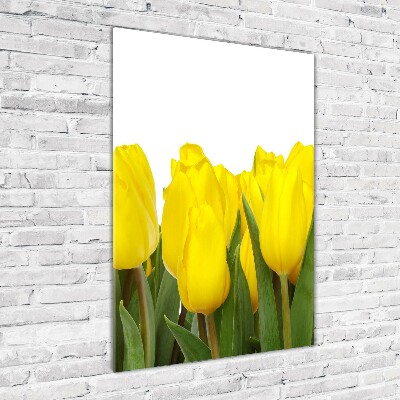 Bild auf Acrylglas vertikal Gelbe Tulpen