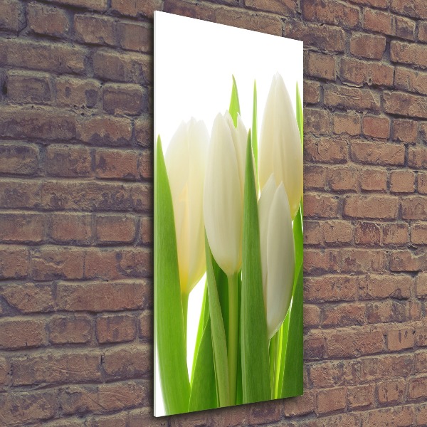 Plexiglasbilder vertikal Weiße Tulpen