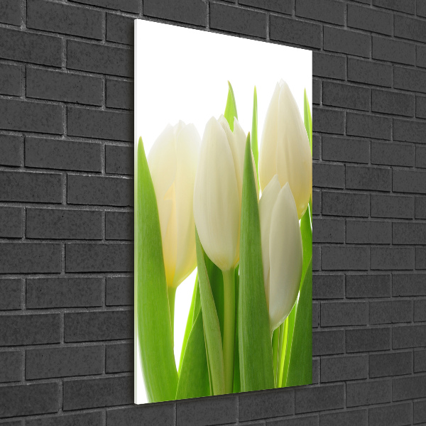 Plexiglasbilder vertikal Weiße Tulpen