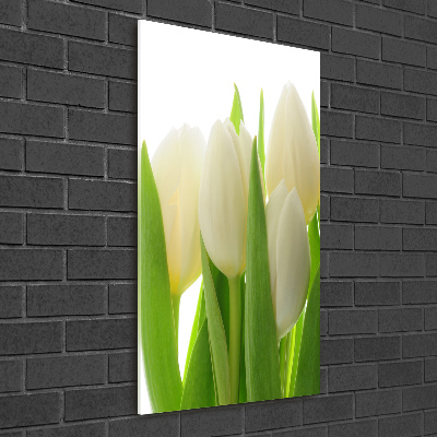 Plexiglasbilder vertikal Weiße Tulpen