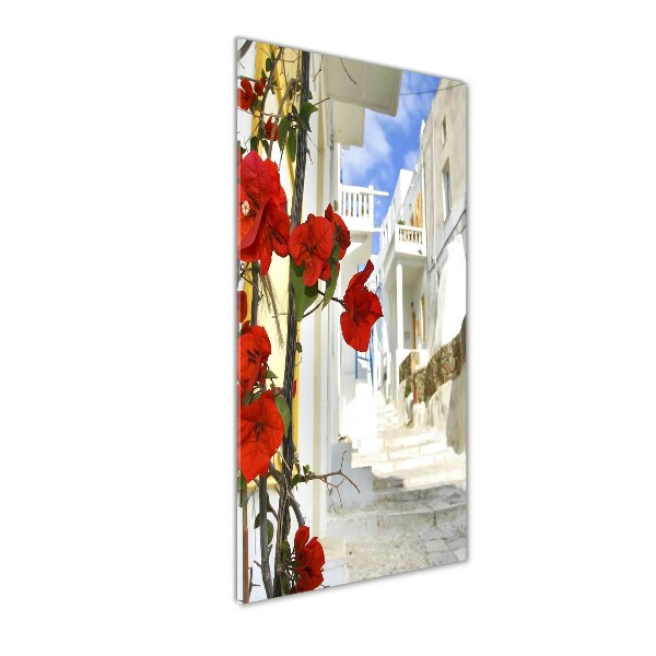 Plexiglasbilder vertikal Mykonos, Griechenland