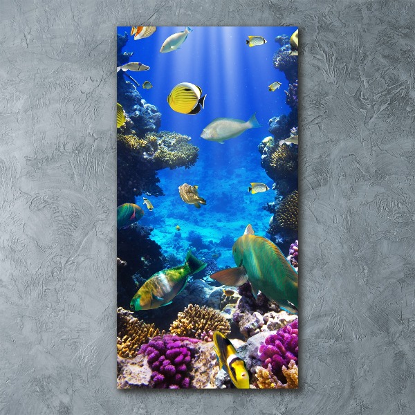 Plexiglasbilder vertikal Korallenriff
