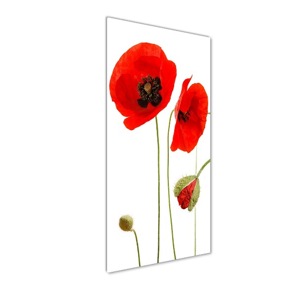 Bild auf Acrylglas vertikal Wildmohn