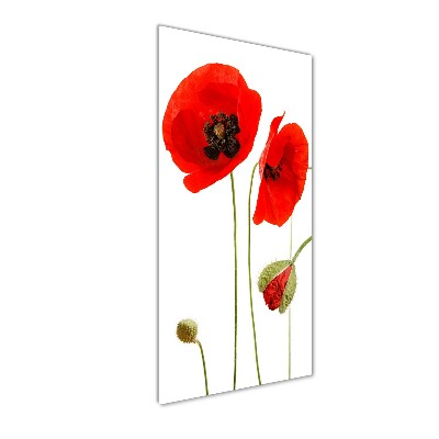 Bild auf Acrylglas vertikal Wildmohn