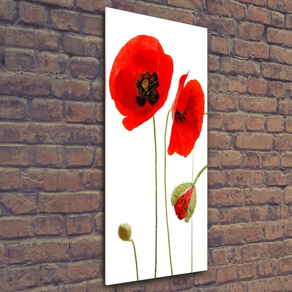 Bild auf Acrylglas vertikal Wildmohn