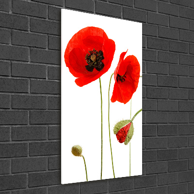 Bild auf Acrylglas vertikal Wildmohn