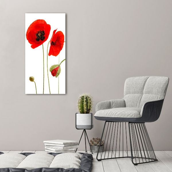 Bild auf Acrylglas vertikal Wildmohn