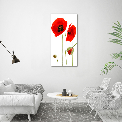 Bild auf Acrylglas vertikal Wildmohn