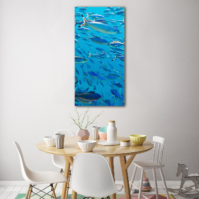 Bild auf Acrylglas vertikal Korallenfische