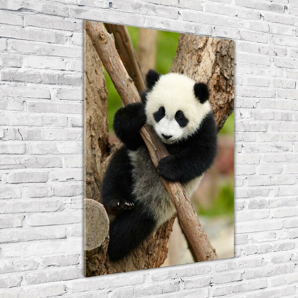 Bild auf Acrylglas vertikal Panda auf einem Baum
