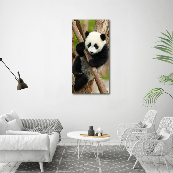 Bild auf Acrylglas vertikal Panda auf einem Baum