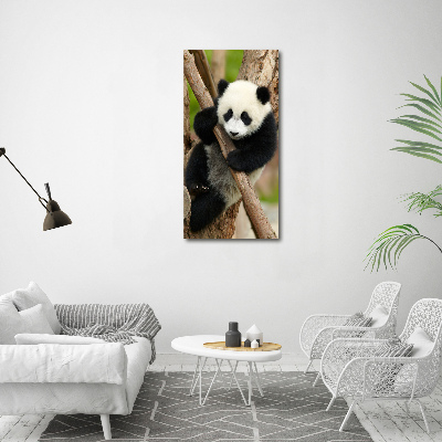 Bild auf Acrylglas vertikal Panda auf einem Baum