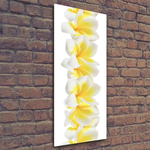 Bild auf Acrylglas vertikal Plumeria