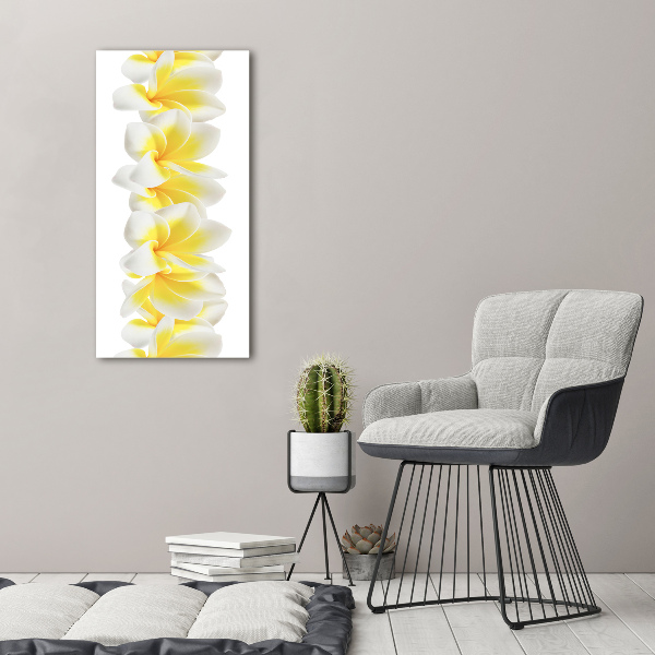 Bild auf Acrylglas vertikal Plumeria