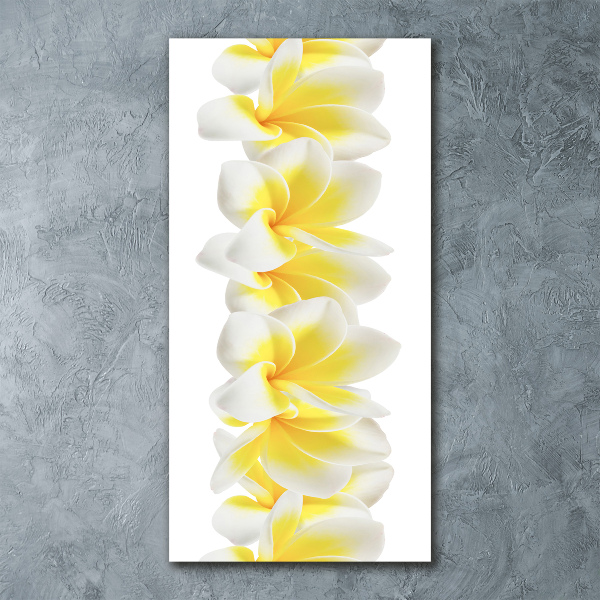 Bild auf Acrylglas vertikal Plumeria