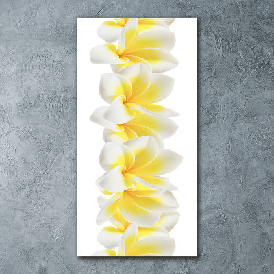 Bild auf Acrylglas vertikal Plumeria