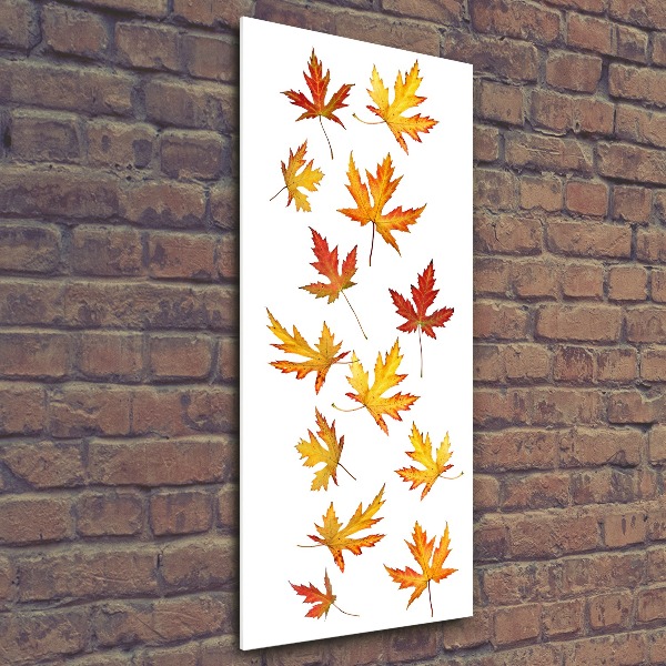 Bild auf Acrylglas vertikal Herbstblätter