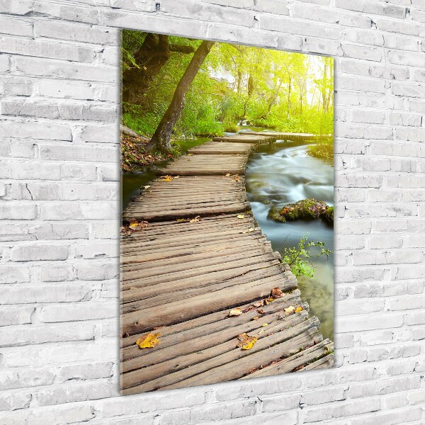 Bild auf Acrylglas vertikal Pfad im Wald
