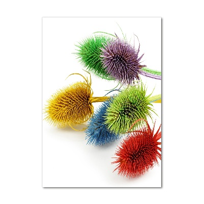 Plexiglasbilder vertikal Distel