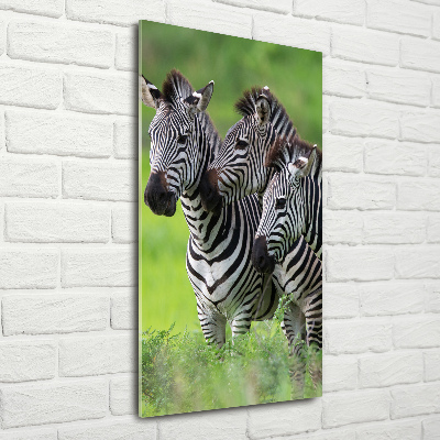 Plexiglasbilder vertikal Drei Zebras