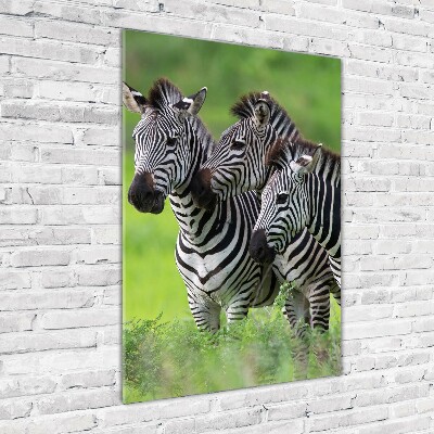 Plexiglasbilder vertikal Drei Zebras