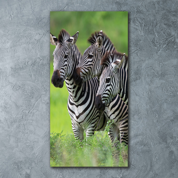 Plexiglasbilder vertikal Drei Zebras