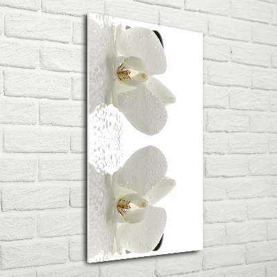 Acrylbild vertikal Orchidee und Steine