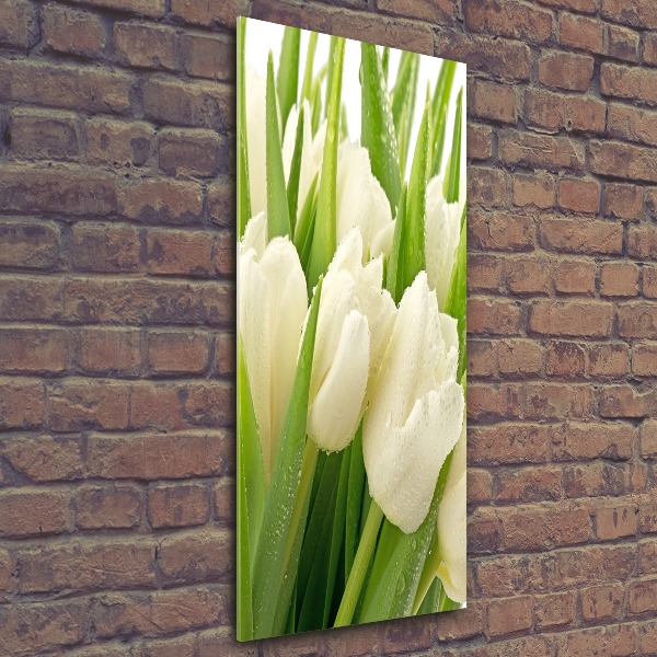 Bild auf Acrylglas vertikal Weiße Tulpen