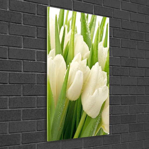 Bild auf Acrylglas vertikal Weiße Tulpen