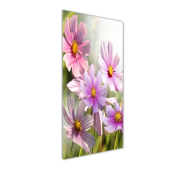 Plexiglasbilder vertikal Wildblumen