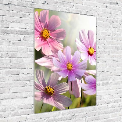 Plexiglasbilder vertikal Wildblumen