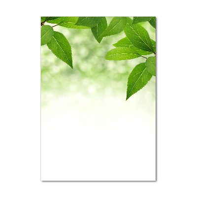 Bild auf Acrylglas vertikal Grüne Blätter